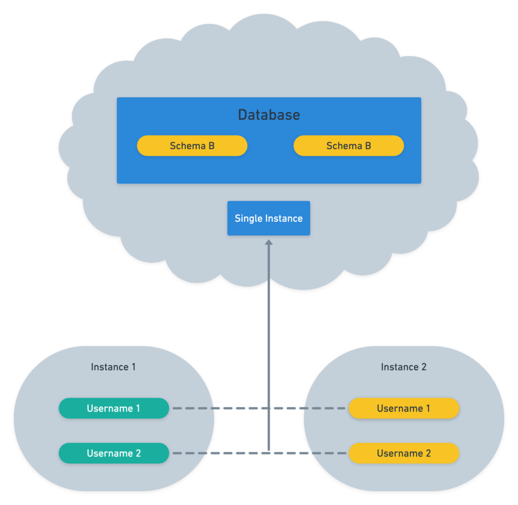 Multi-tenancy with Segregation via Schema