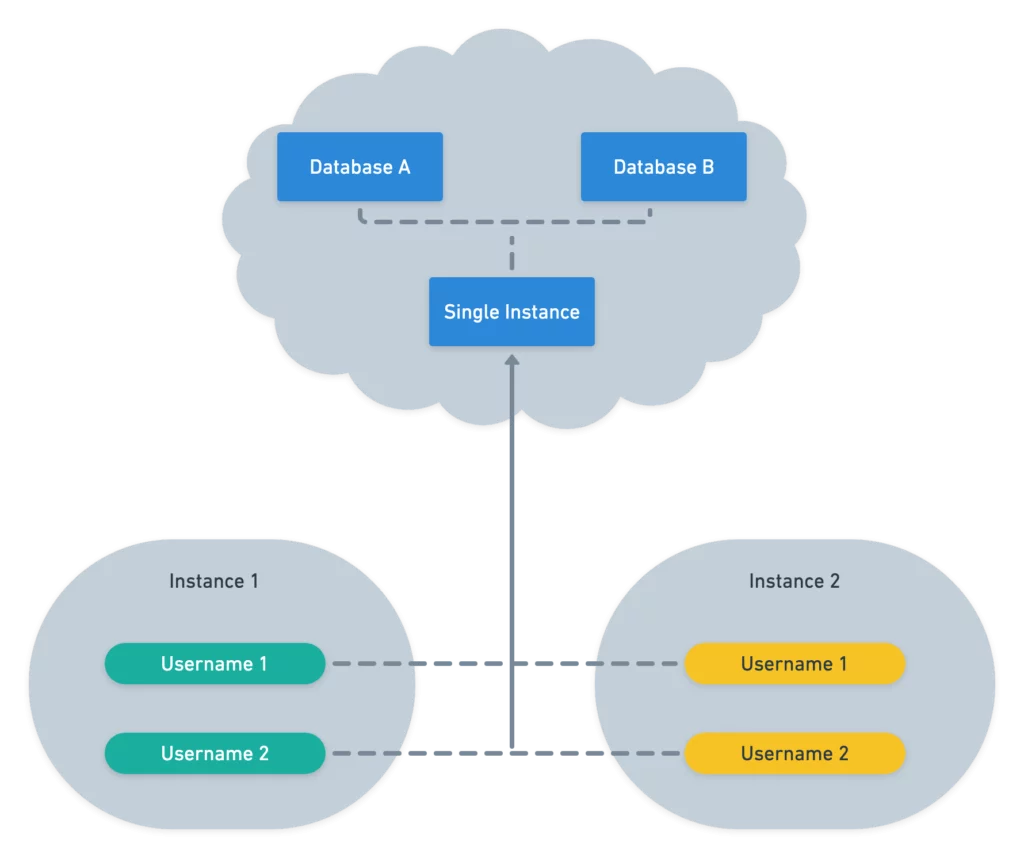 Multi-tenancy with Segregation via Database