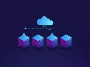 SaaS Multitenancy